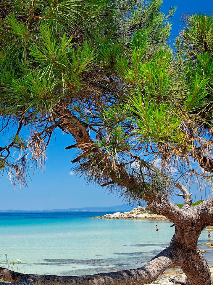 Beaches in Halkidiki