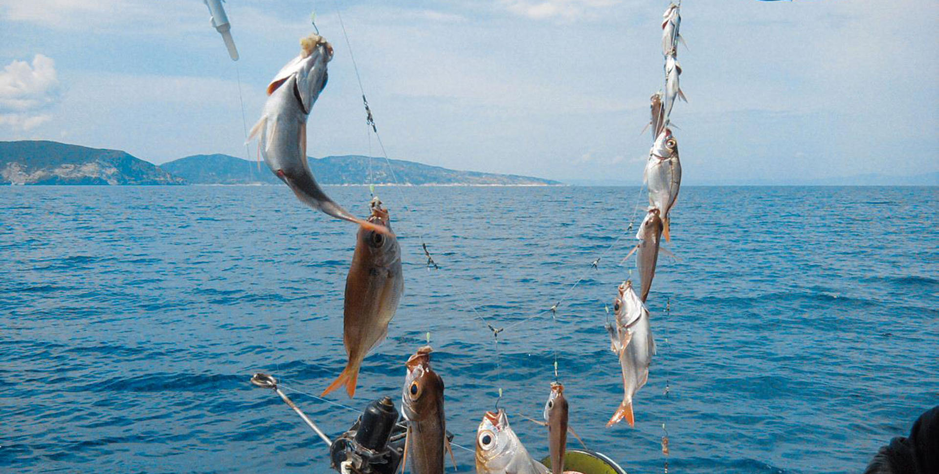 big fish Greece